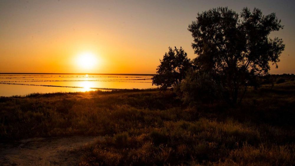 �������� ������ ������������ � ���������� �������