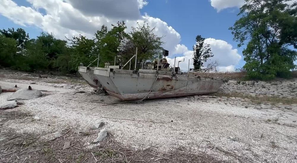 ����� �������: ��������� �������������. ����� � ������ ����� �� �����. ���� �����