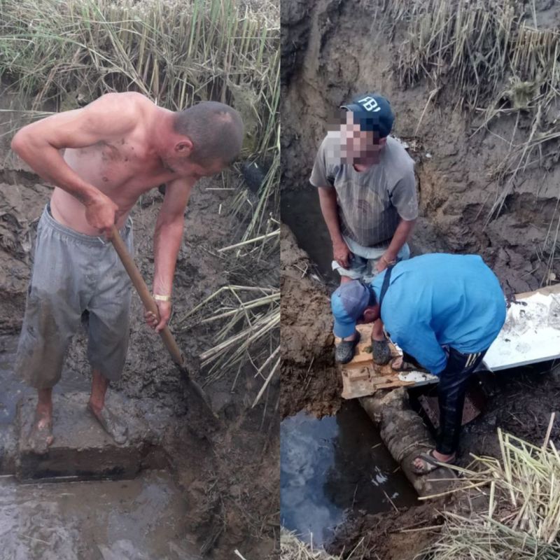 ���������� ������ ������������� ����