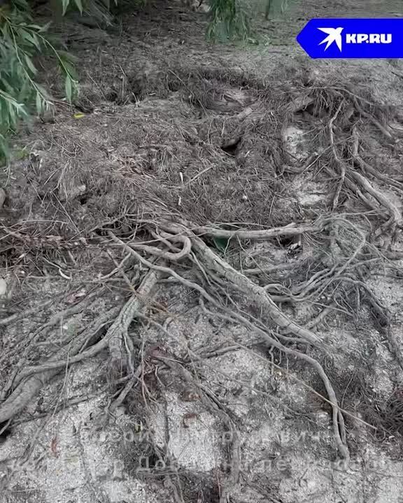 ����������, ��� ������ �������� ��������� �������������