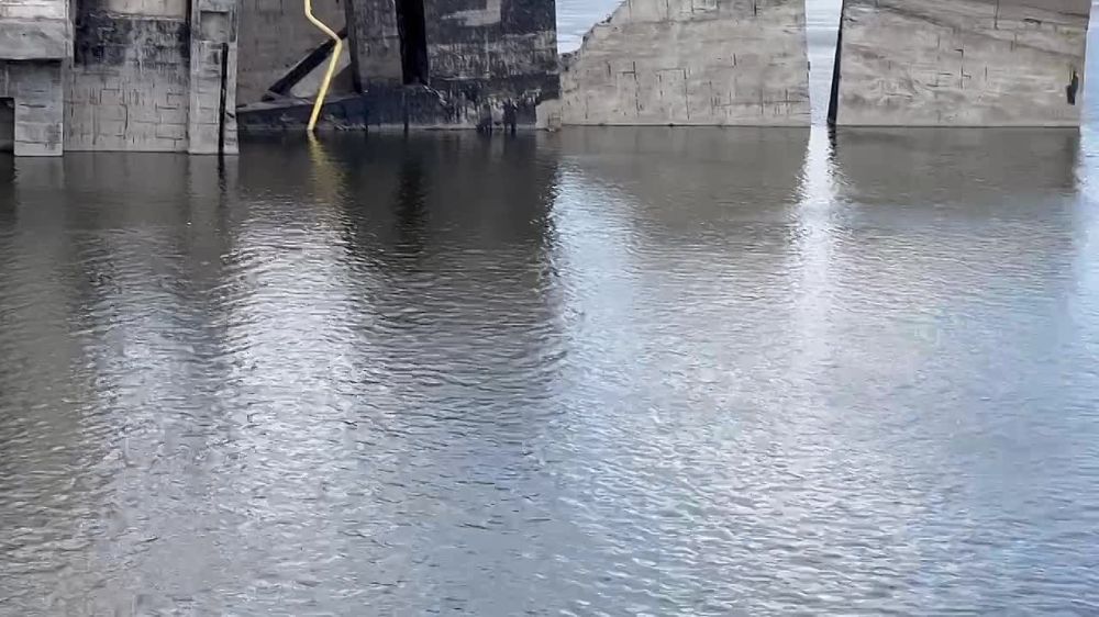 ����� �������: ��� ��� ������ �������� ����� ��������� ���