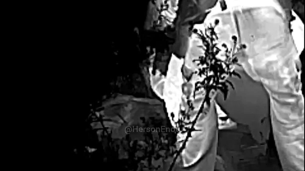 ���� �� �������: ���������� ������ ����� �������� ������� ���� �������� ���