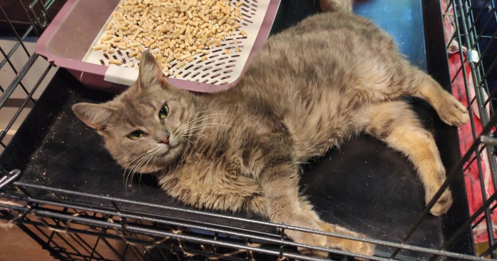 ������������ ����� �� ����� �������� ����� ������ ������� ������