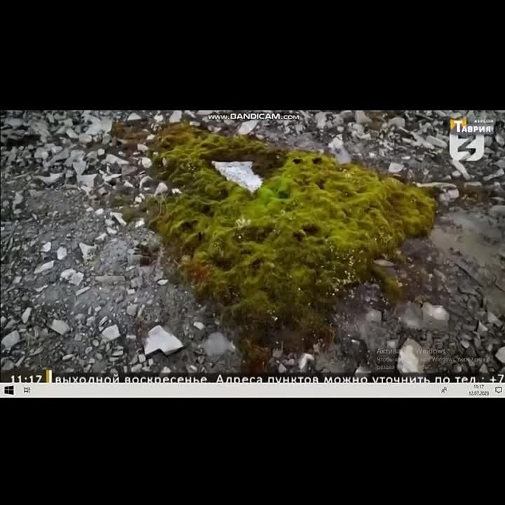 ��� "������" ���������� ������������� ������� ������� � ������ ��������, ��������� �������� ���������� ��������