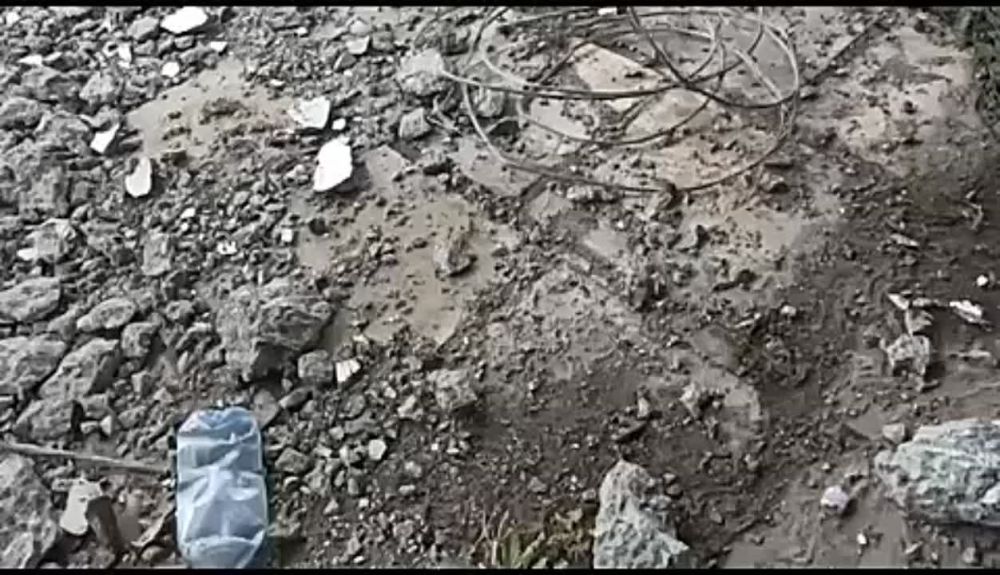 ������� ������ �� �������. ���� ������, ��� �� ������, ����� ���������, ����� �� �������