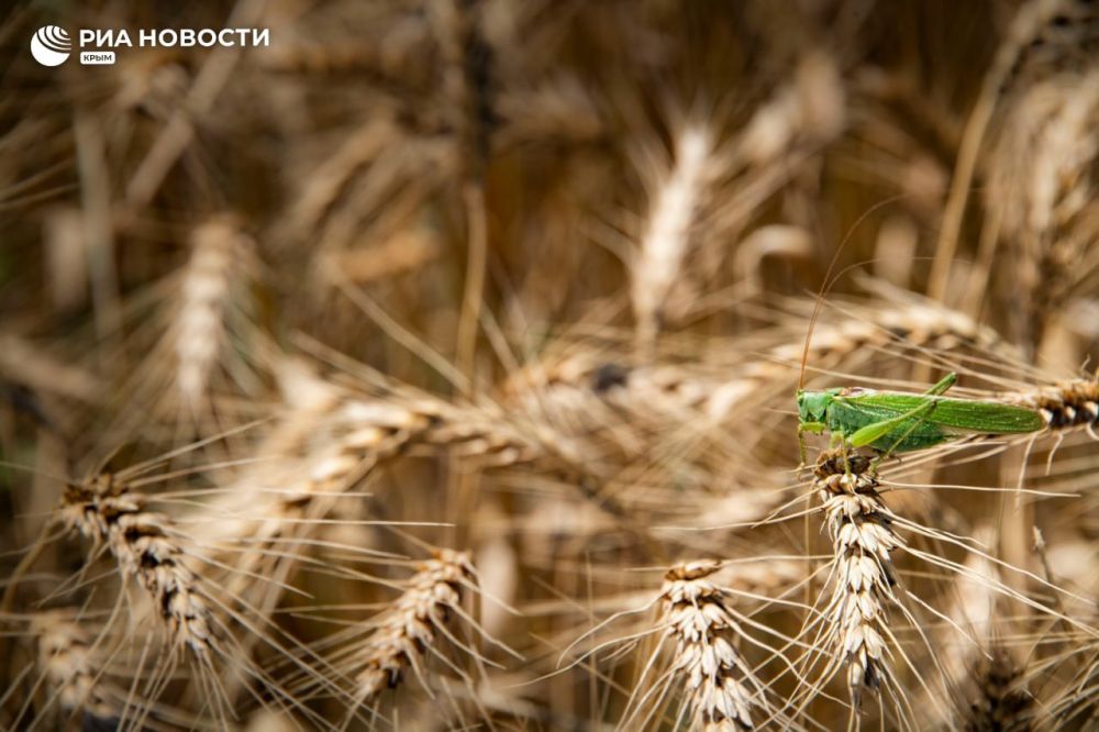 ����� ��������� ��������� ���������� ������������ � 1,5 ���������� ������