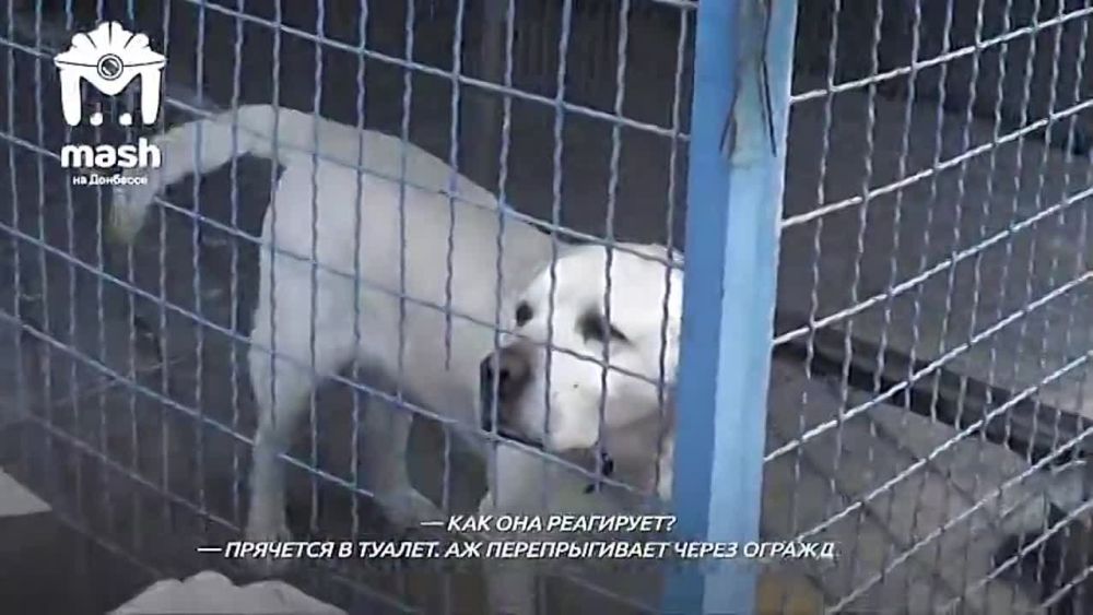 � ������ �� ����� ���������� ������ ���������� ������ � ������ ��� � ������ � ����� � ������� ����