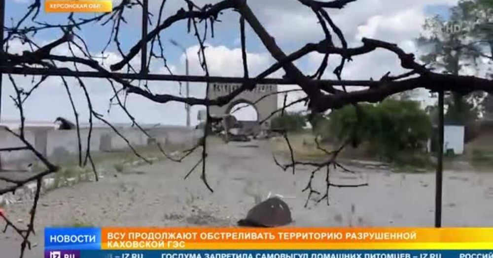 ��� ���������� ������������ ���������� ����������� ��������� ���