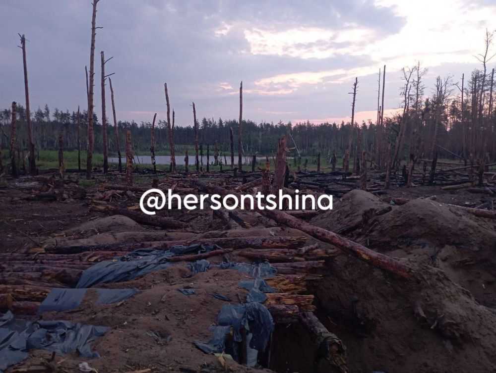 � ������ ��������� - ��� �������� ���� �� ������� ������� ��� � ������!