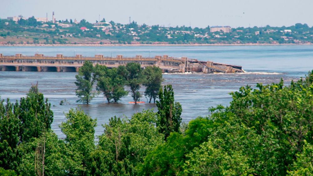 ������: ���� ������ ��� ������������ ������������ �� ��������� ���, ������� �������� ���