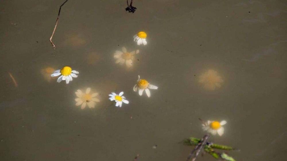 ������ ����� ��������� ��������� ���������� �� ������� ��������� ���