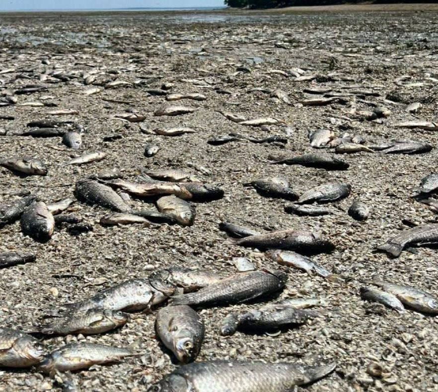 � ���� �������� �������� ��������� ������