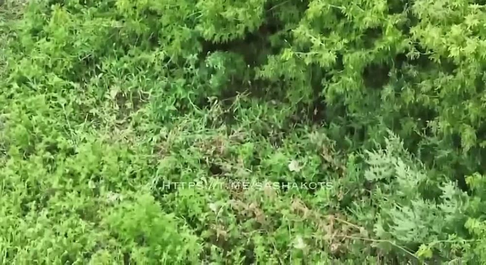 ���-�� ��� ���������. ���� �������� ���� ��� ����������, ������� ��������� ������� ����������� ������. �� ����������� ��� ������ ��������