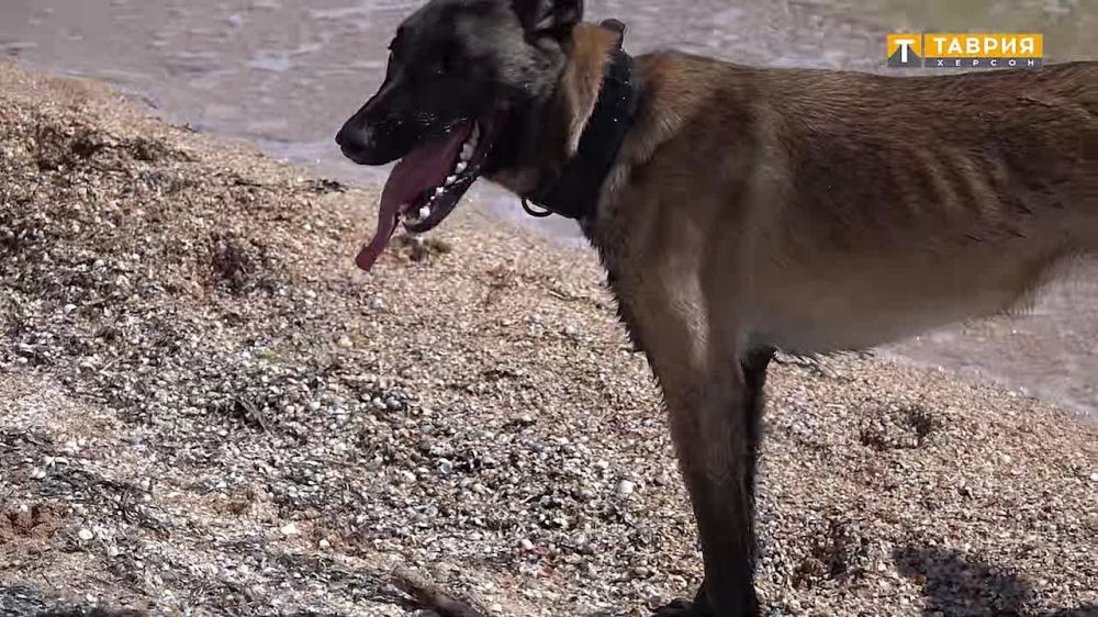 ������� "������" ������ ����� ������ ���� ���� �� ��������� ��������� � ������ �����