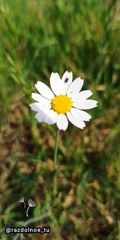 ���������� ! � ������ ����� �������!