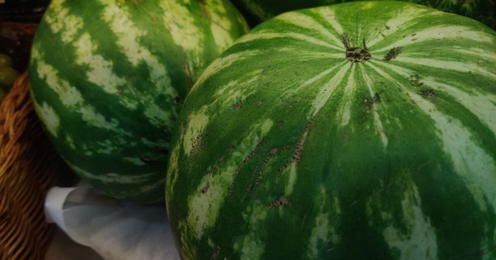 ���������� ������ ������ ����� �������� �� ��������� ���������