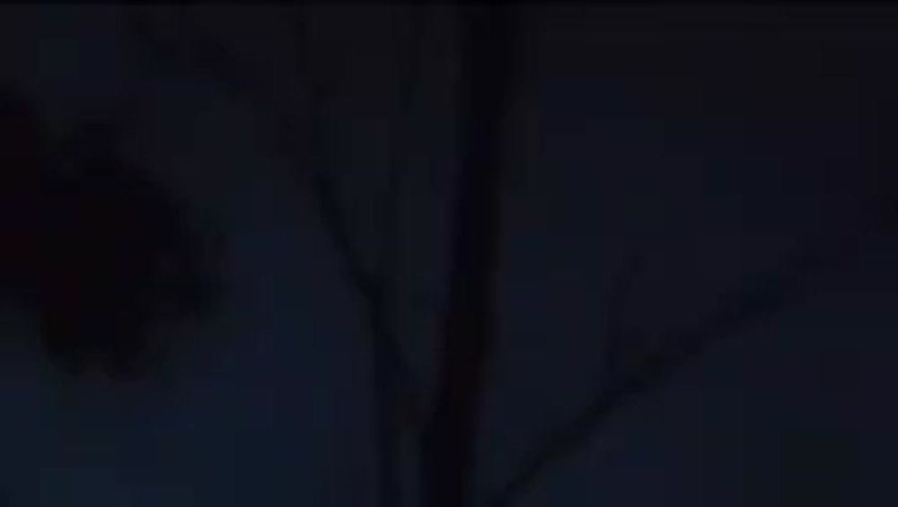 � ����� ������� ������