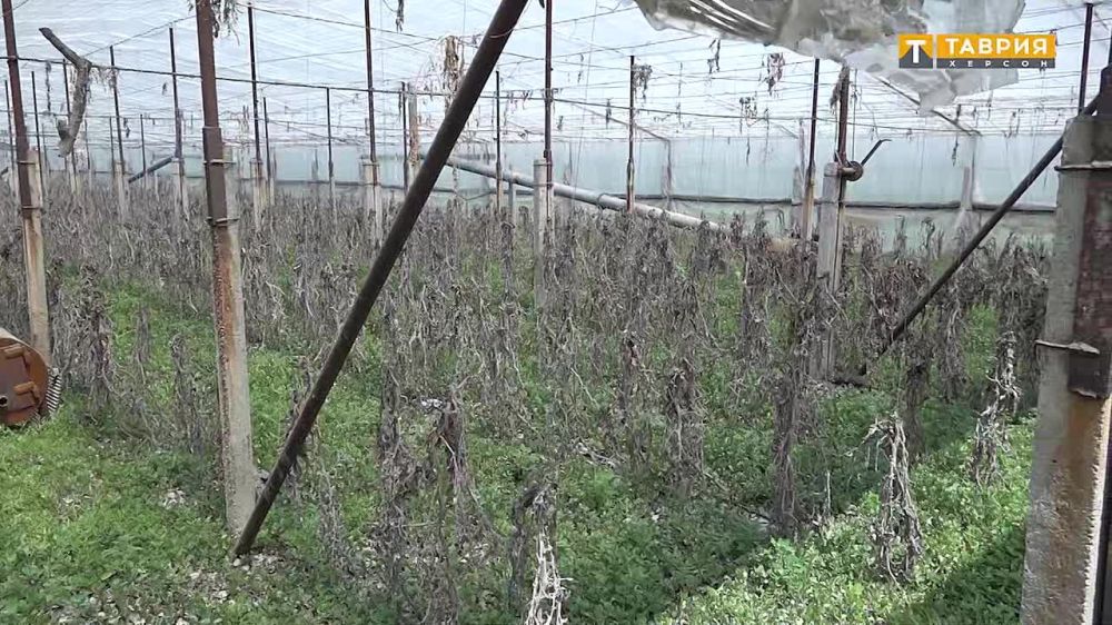 �������, ��� ��������� ���������� �� �� �� ��������� ���, ������ ����� 500 ��������� �� ����������� ���������