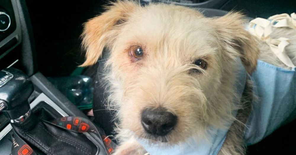 ������ ������ ����� ����� �� ����� ���������� � �������