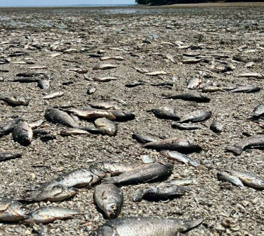 � ���� �������� �������� ��������� ������