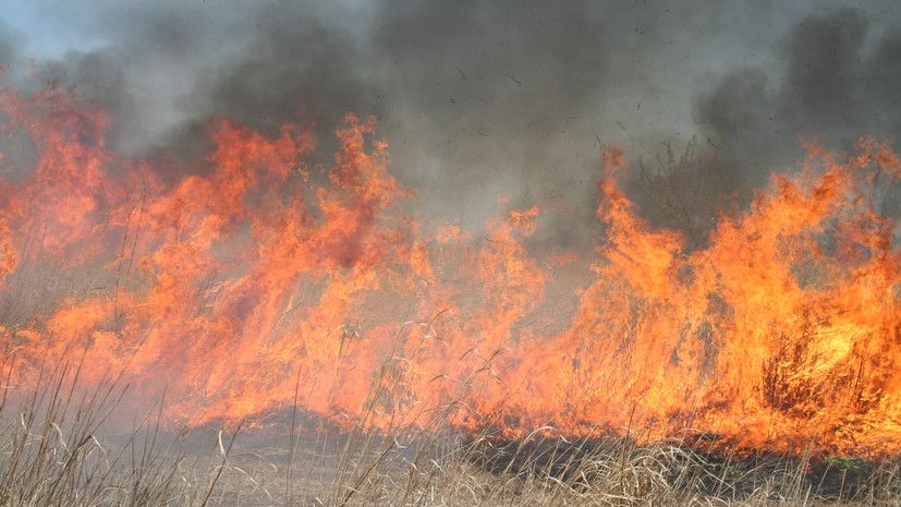 ���� � ���������� ������� �������� ������ ����� �������� �� ������� ���