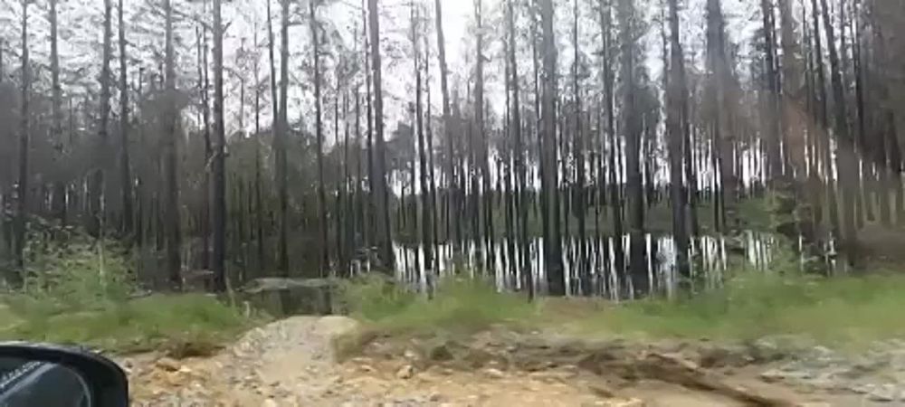 �������� ����������� ���. �����, �������, ��� ����� � ������