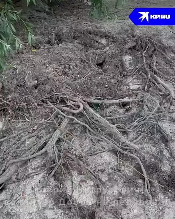 ����������, ��� ������ �������� ��������� �������������