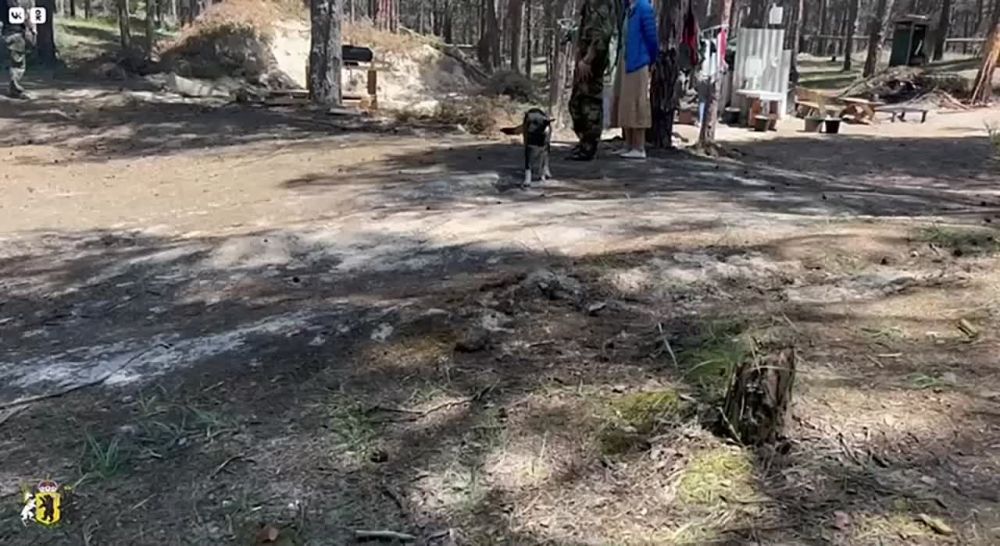 ���� ���� ������� ������� � ���� � ��� ����� ������. ��������� �������� � ������ ��������������