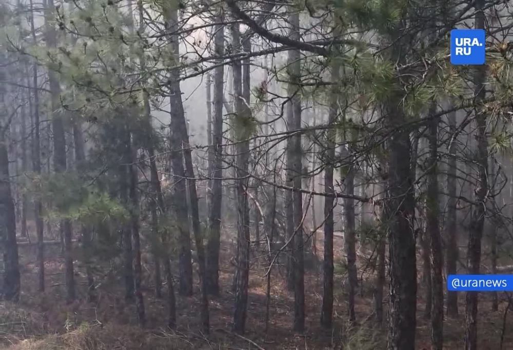 � ���������� ������� ��-�� ��������� �� ������� ��� ��������� ���. ����� ��� �������� ������� ��-�� ������� ������������� ��������, ������� ������ �������� ������-����������� ������������� ����������� ������ ������ ������