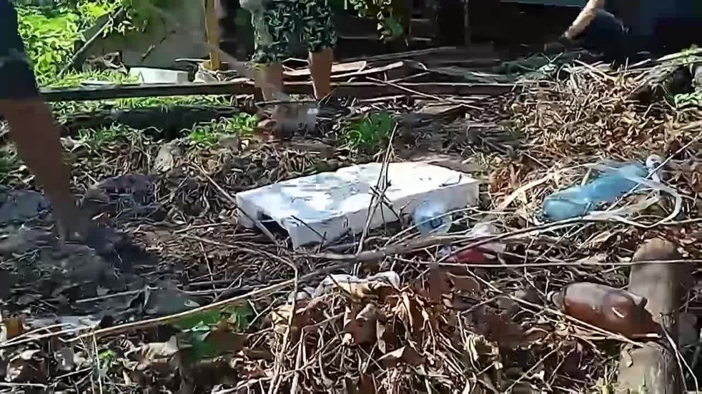 ��� ���� ����� �� ����� ��������