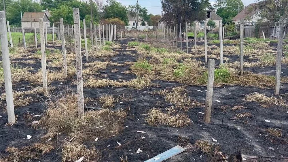 ����� �������: ����� ���� � �������. ����������� ���������� ����������� ��������� ������������� ��������