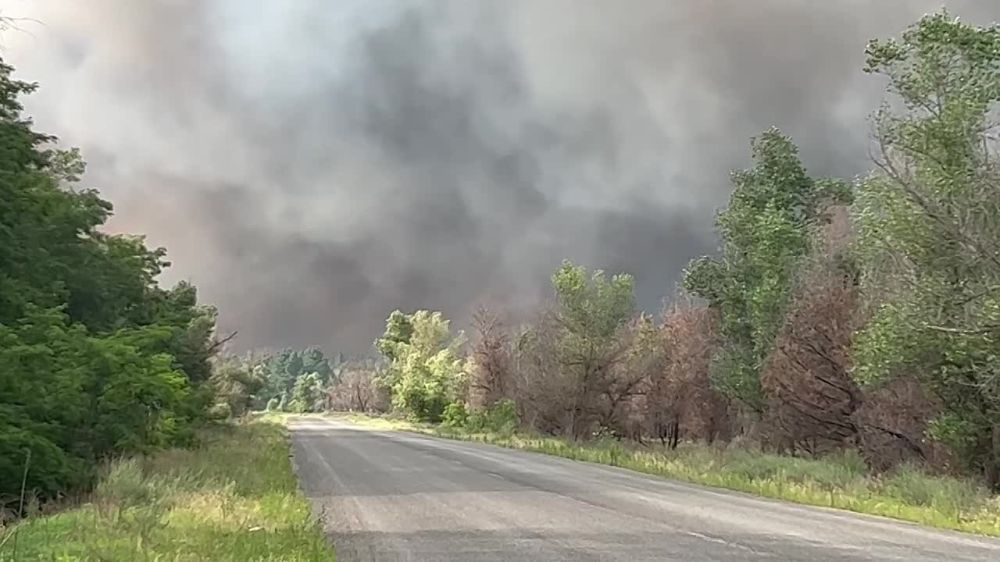 ����� �������: ������ �� ������. �� � ���� � ����