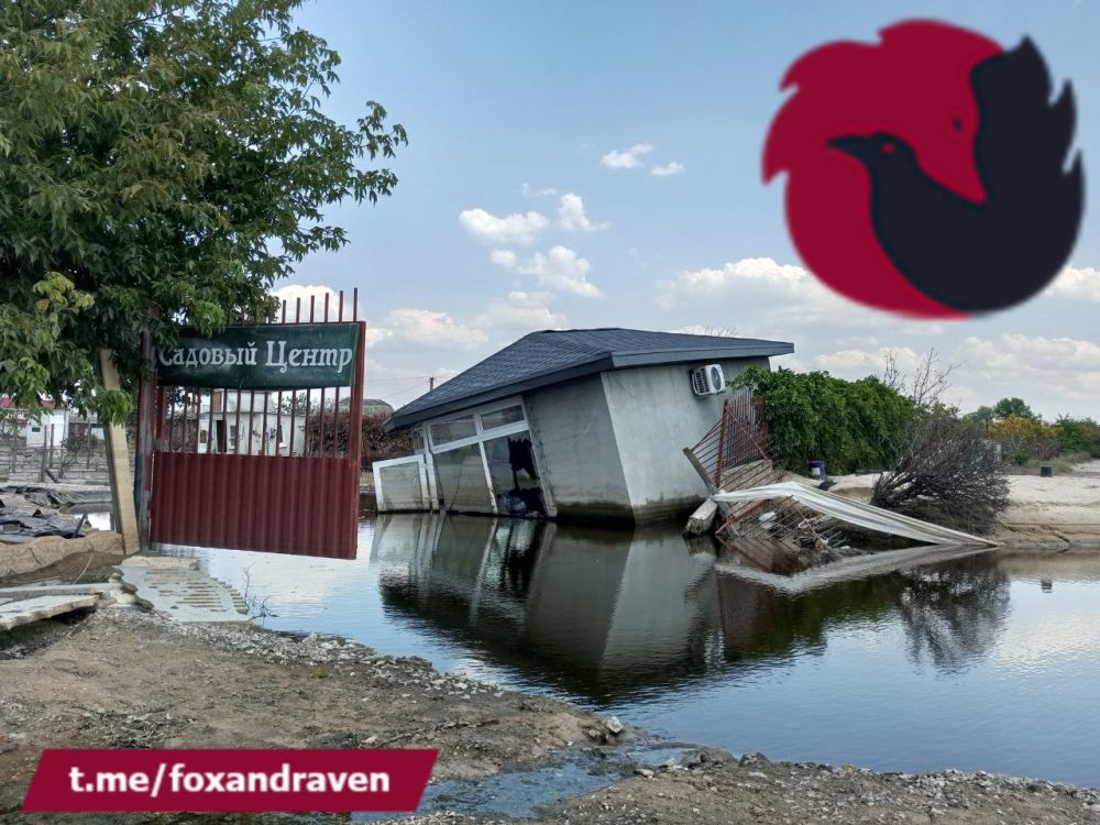 #���. ��� ������� ������� � ����� ��������. ���� ����� ������� ����� ��������� �� ���������� ��-�� ������� ��������� ���...