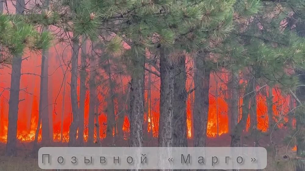 ���������� ���� �����. ����� ������� �� ���������� ������������ � �������������� ����������, ������� �������������� �����. ��� � ������ ������ ������