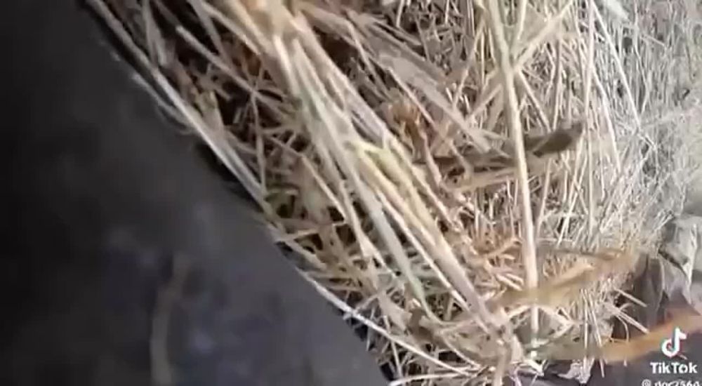 ������� �������� ���������� �� �������, �� ���-�� ����� �� ���