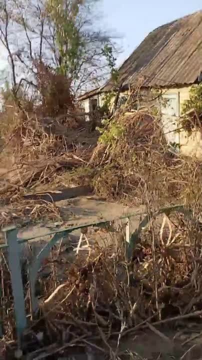 ������ ���������� "���������" ����� ����������