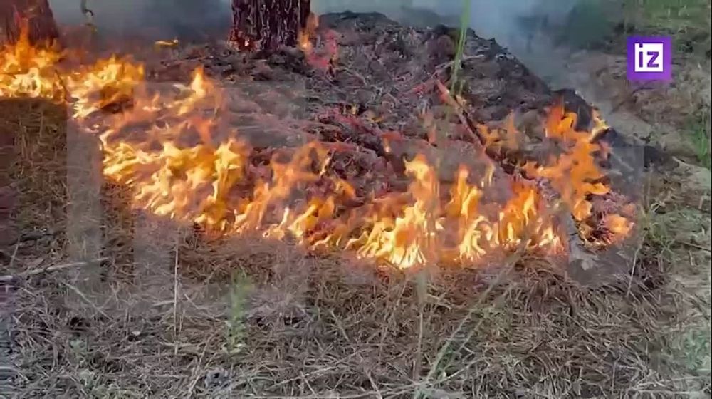 ����� ������� ��� � ������� ����� �������� ��������