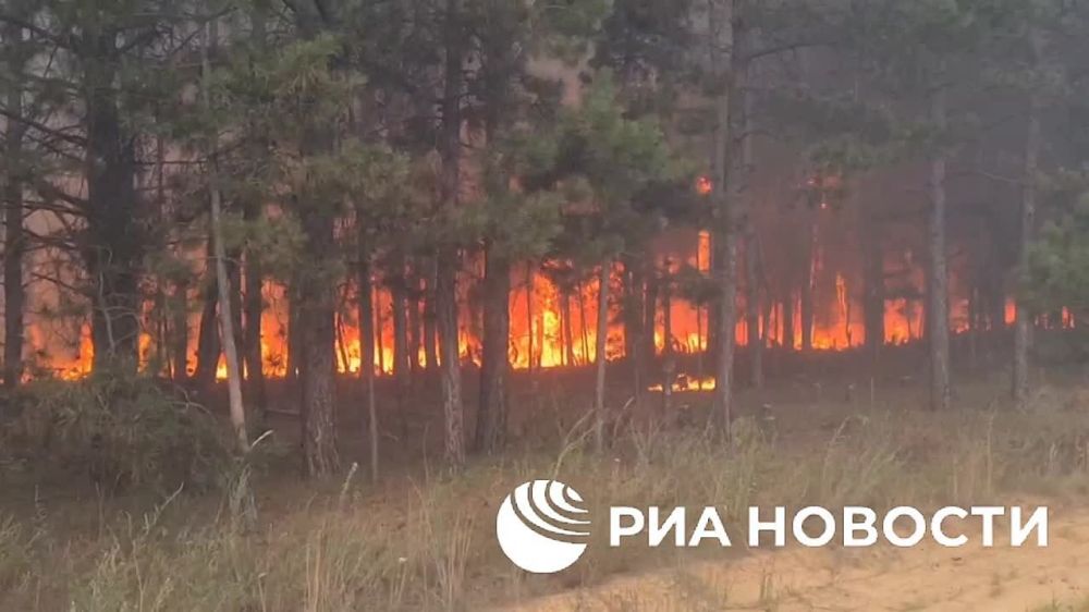 ������� ������ �������� 14 ���� ����� ����������� �������� ������ ����� � ���������� ������� �������������� ������������