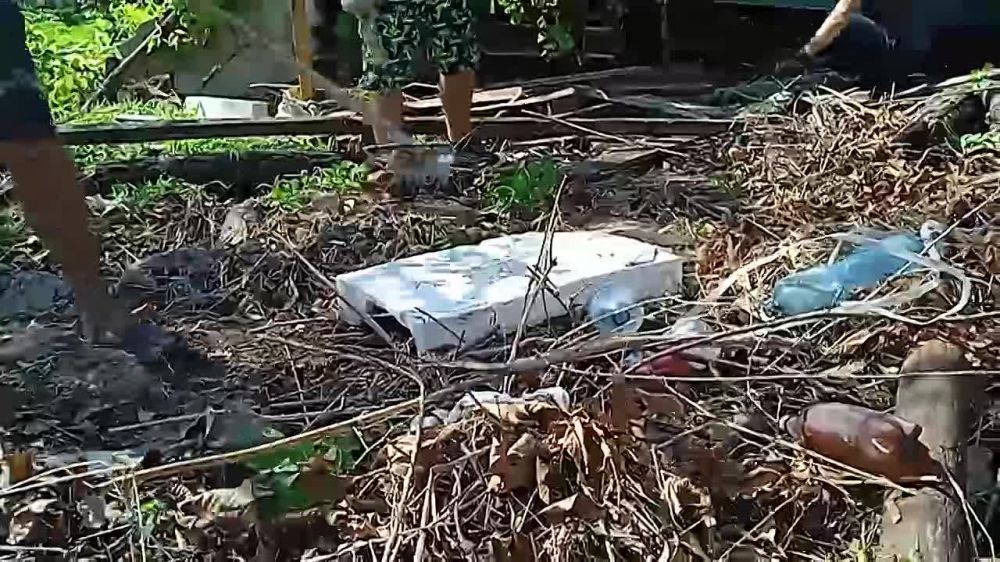 ����� ��������: ����� ����� ����������