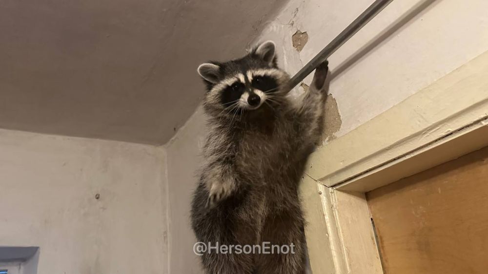 ���� �� �������: ���� � ������ �����, � ������� ��������