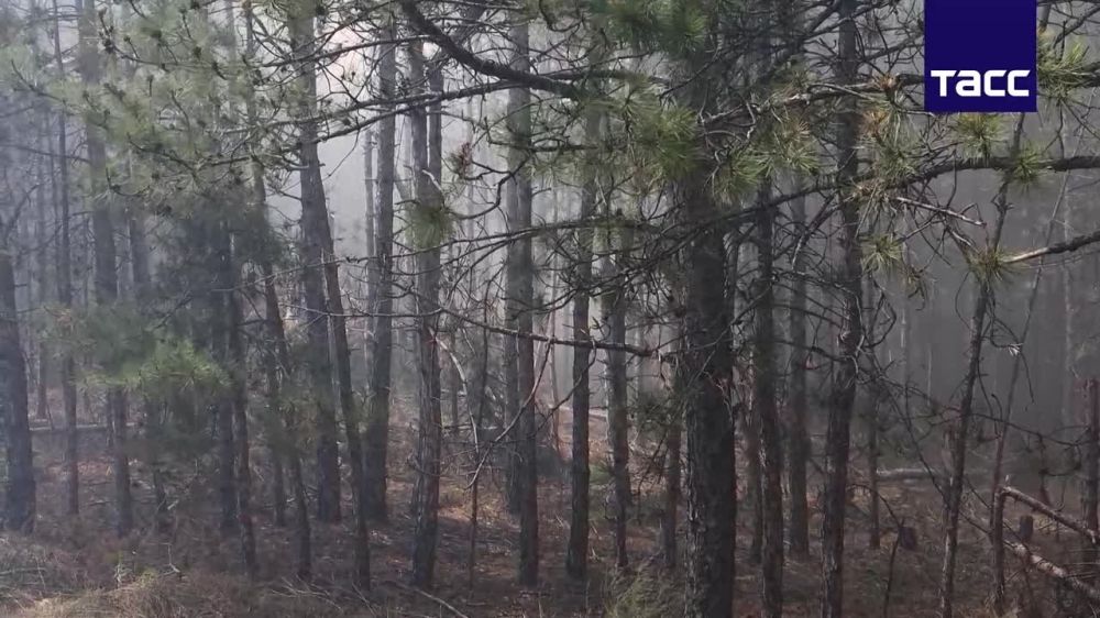 ��� ��������� ��� �������� � ���������� ������� ��-�� ��������� �� ������� ��� �������������� ���������, ������� ������ ����������� ����� ������-����������� ������������� ����������� ������ ������ ������