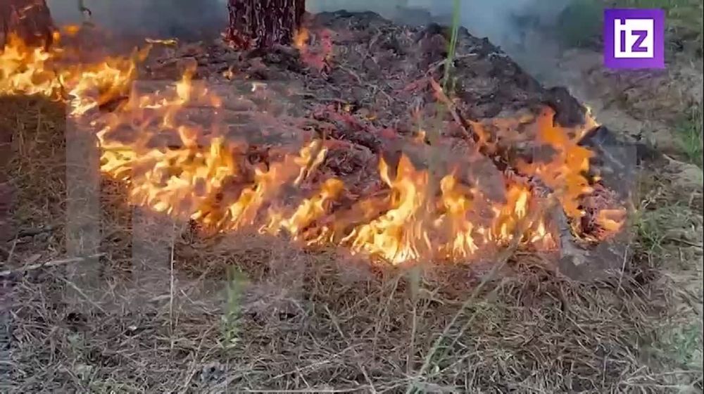 "���� �����": ���� � ���������� ������� � ���� ����� �������� ���������� �������������