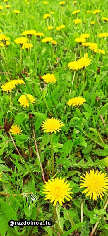 ������ ����, ����������!. ������ � ����� ���������� ��� �����