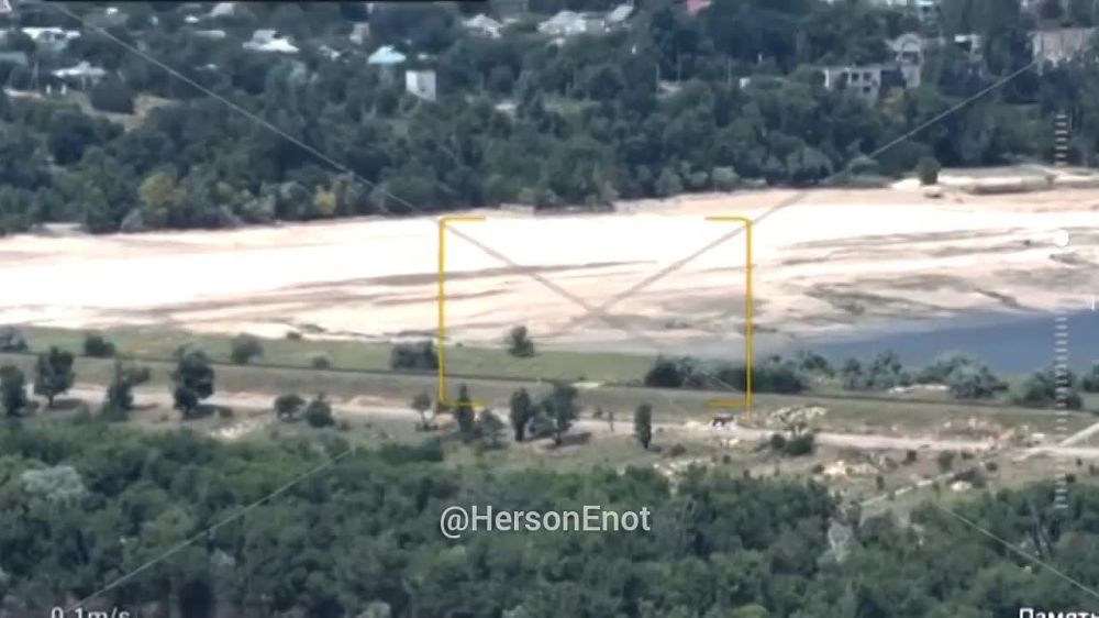 ���� �� �������: ��������� ���, ����������� ���������� ��������� ���������� �������� ����� ���������������