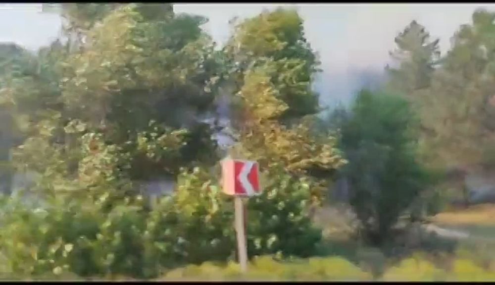 ���������� �����������. �� ��������� �����, ���� ��� ���������� � ���������, �� ���� ������� ������� �����������