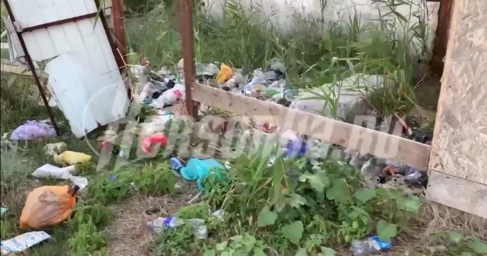 ������, ���� ������ � ���������� �������� ������� �������� ���� � ���������