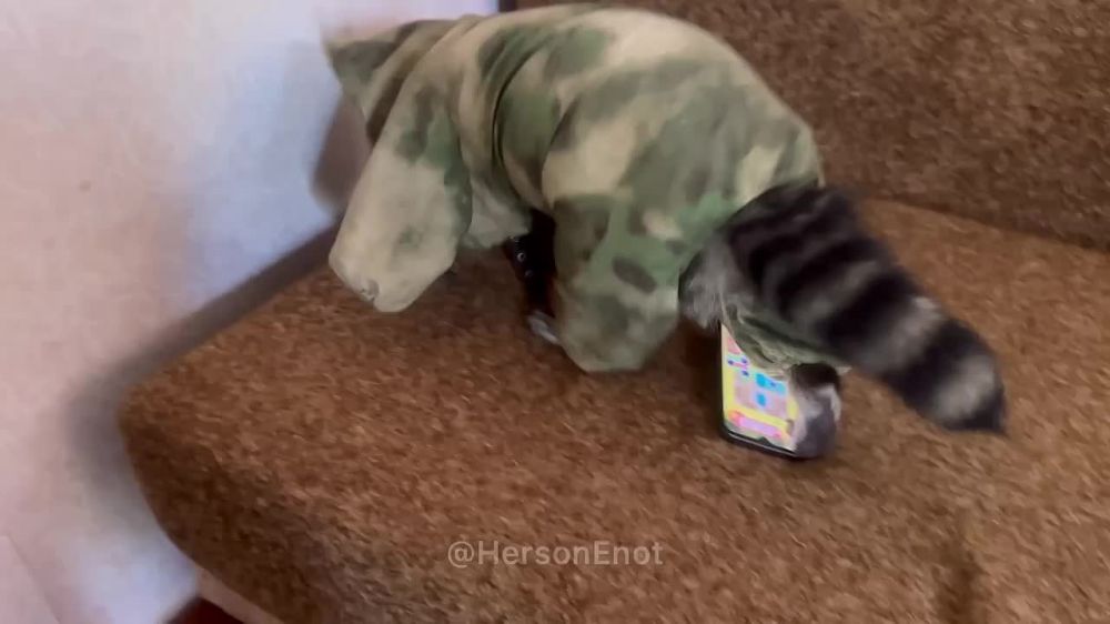 ���� �� �������: � ������ ���������� ����� ������