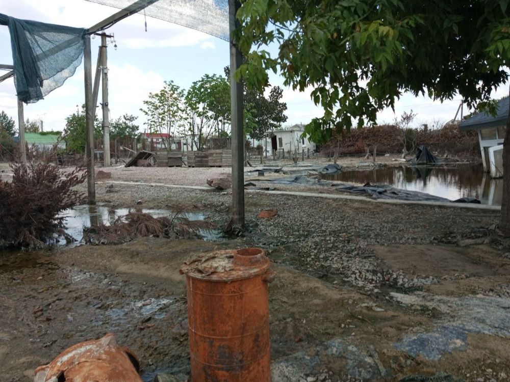 ���� � ����� �������� � ������, ������� �������� � ���� ����� ���������� � ���������� ��������� ���