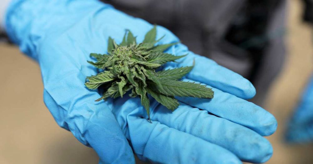 "������ �������" ������� ������ ���������� ������������ ��������� ...