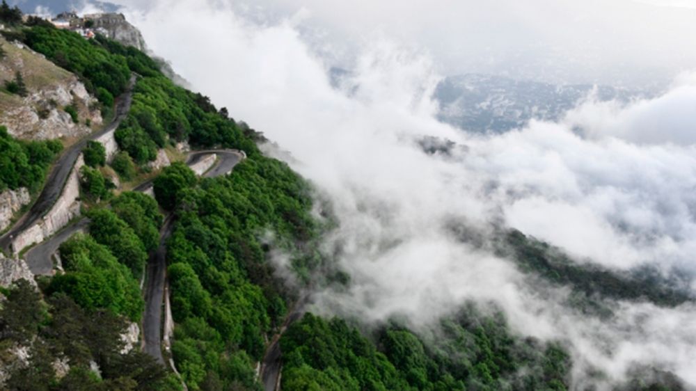 ���������� ������� ���������� �������������� �������� ���������� � ���� ����� ��